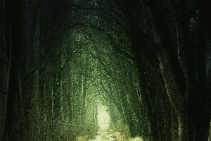 Magic the Gathering at the Library